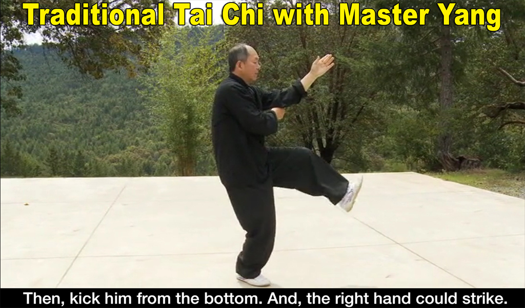 Yang Tai Chi for Beginners 2&3 - Image screenshot of android app