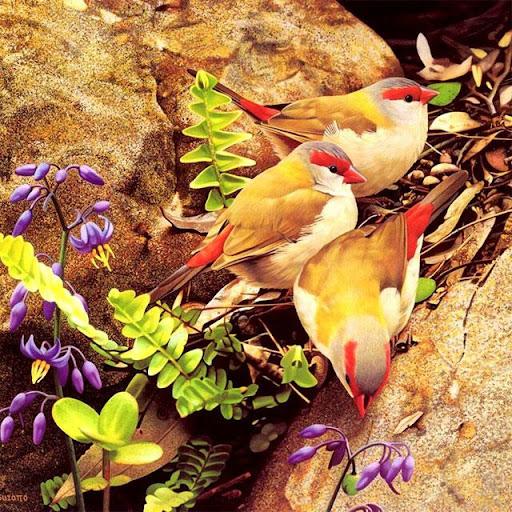 Birds Jigsaw Puzzles - عکس بازی موبایلی اندروید