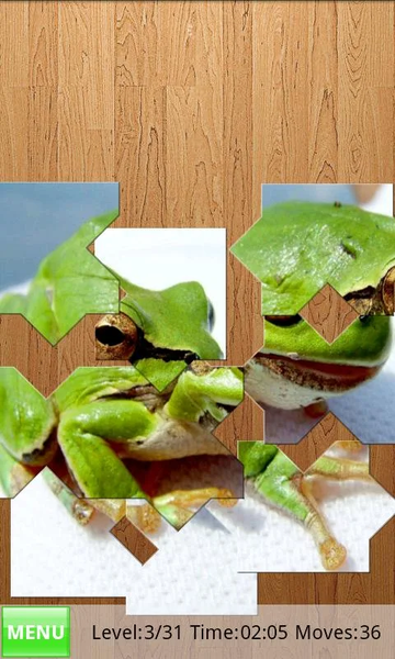 Frogs Jigsaw Puzzles - عکس بازی موبایلی اندروید