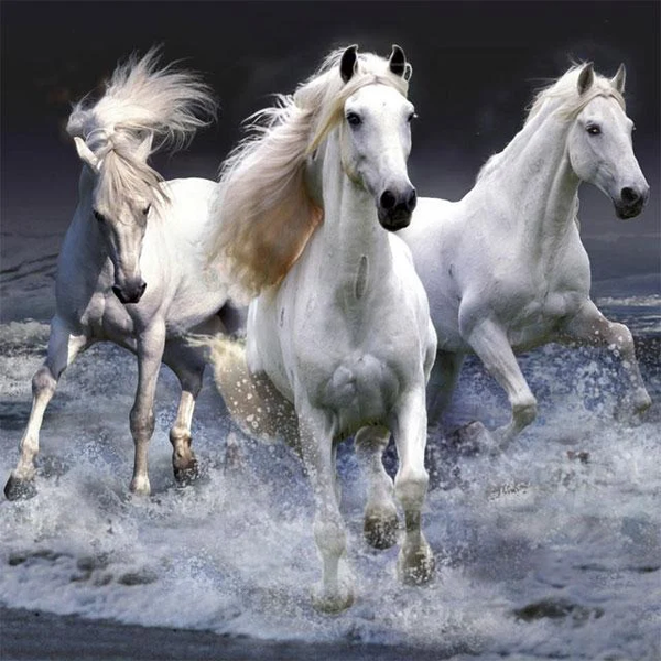 Horses Jigsaw Puzzles - عکس بازی موبایلی اندروید