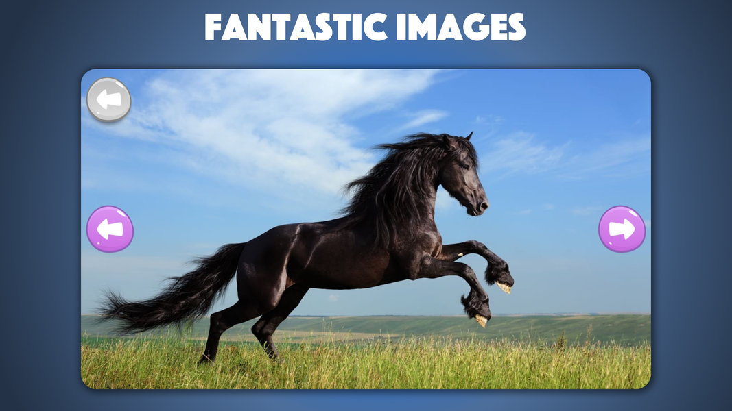 Horse and Pony jigsaw puzzles - Gameplay image of android game