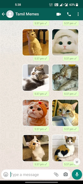 Cat Stickers | WAStickerApps - Image screenshot of android app