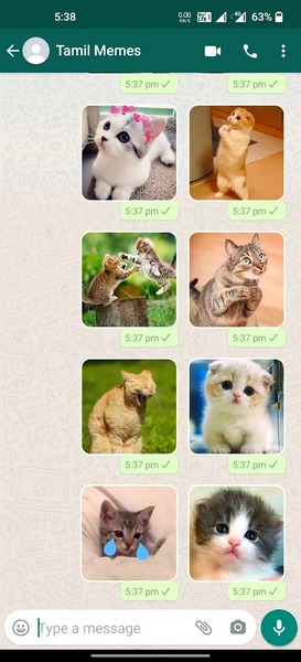 Cat Stickers | WAStickerApps - Image screenshot of android app