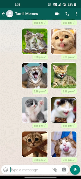 Cat Stickers | WAStickerApps - Image screenshot of android app
