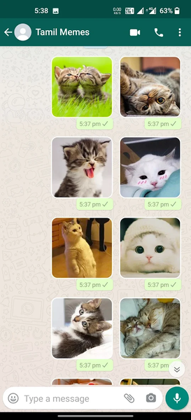 Cat Stickers | WAStickerApps - Image screenshot of android app