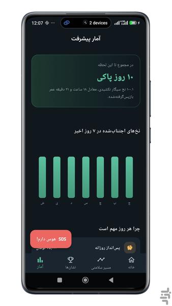 Smoking Cessation Tracker - Image screenshot of android app
