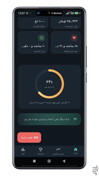 Smoking Cessation Tracker - Image screenshot of android app