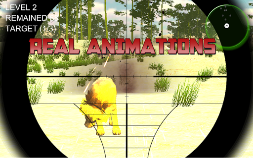 Lion Expert Hunter 3D - Gameplay image of android game