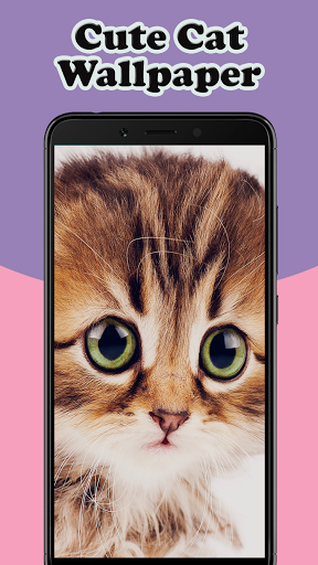 Cute Cat Wallpaper - Image screenshot of android app