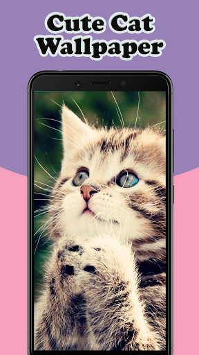 Cute Cat Wallpaper - Image screenshot of android app