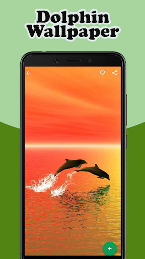 Dolphin Wallpaper Live - Image screenshot of android app