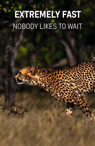 Wild Browser: safe web search - Image screenshot of android app