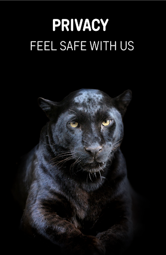 Wild Browser: safe web search - Image screenshot of android app