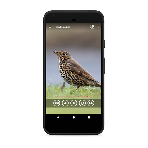 Bird Sounds Ringtones - Image screenshot of android app