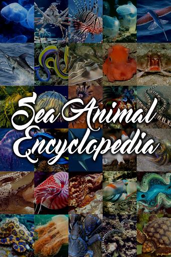 Sea Animal Encyclopedia - Image screenshot of android app