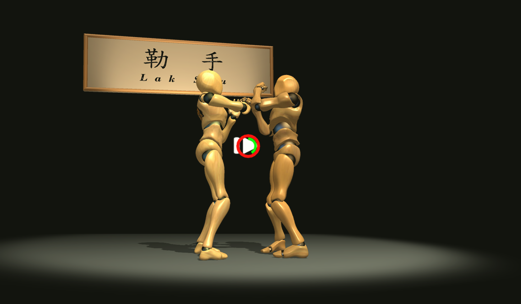 VR Wing Chun Trainer - Image screenshot of android app