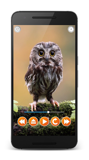 Birds Sounds Relax and Sleep - Image screenshot of android app