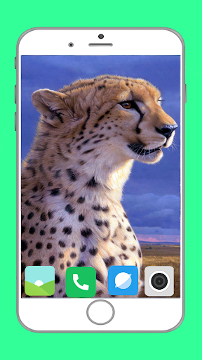 Zoo  Full HD Wallpaper - Image screenshot of android app