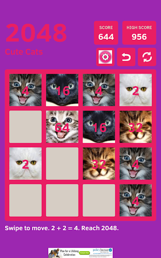 2048 cat top