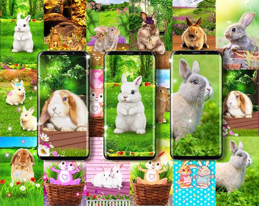 Cute bunny easter wallpapers - عکس برنامه موبایلی اندروید