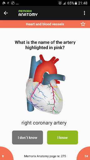 Memorix Anatomy QUIZ - Image screenshot of android app