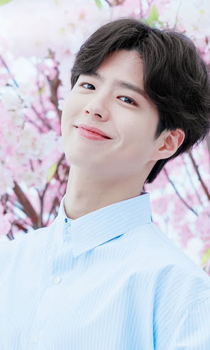 Park Bo-gum iphone Wallpapers & LockScreen