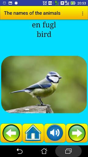 Animal names in Danish - Image screenshot of android app