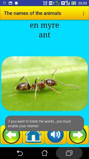 Animal names in Danish - Image screenshot of android app
