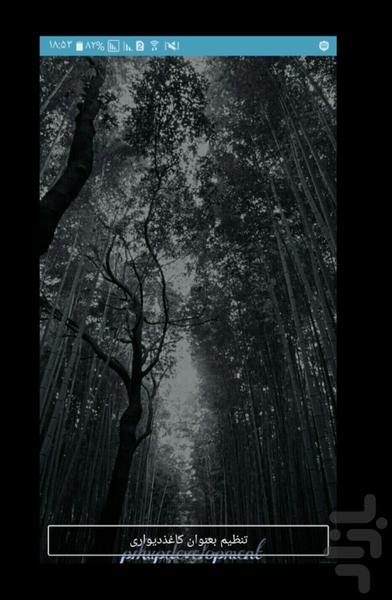 تِم جنگل سیاه - عکس برنامه موبایلی اندروید
