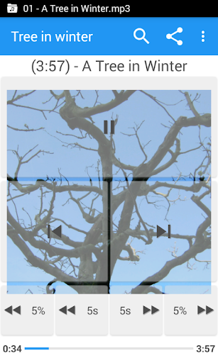 Music Folder Player - Image screenshot of android app