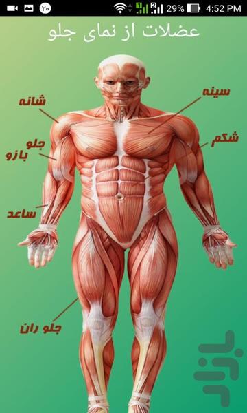 بدن ساز - عکس برنامه موبایلی اندروید