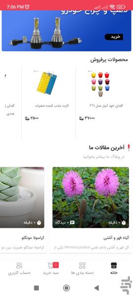 Toucan Land - Image screenshot of android app