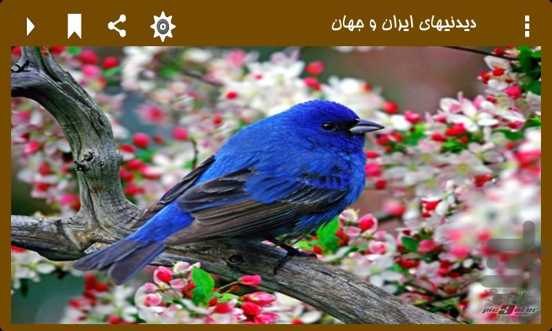 دیدنیهای ایران و جهان (نسخه رایگان) - عکس برنامه موبایلی اندروید