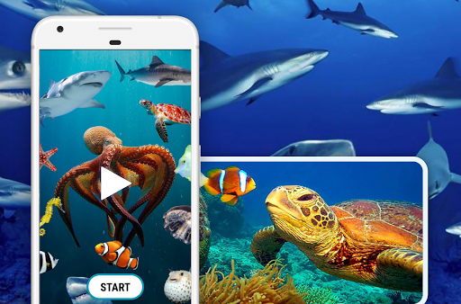 Sea Animals Documentary - Image screenshot of android app