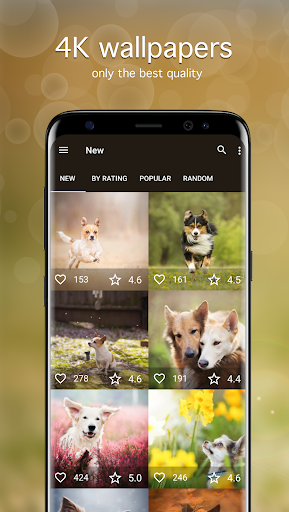 Dog Wallpapers & Puppy 4K - عکس برنامه موبایلی اندروید
