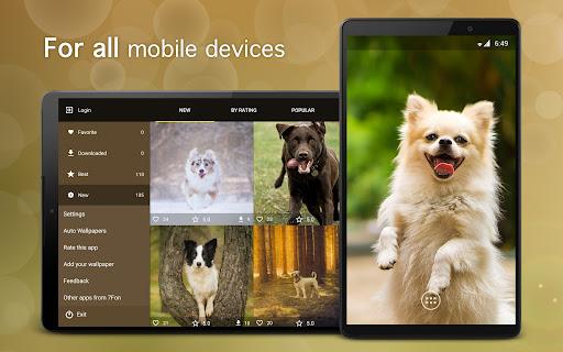 Dog Wallpapers & Puppy ۴K - عکس برنامه موبایلی اندروید