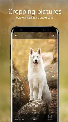 Dog Wallpapers & Puppy ۴K - عکس برنامه موبایلی اندروید
