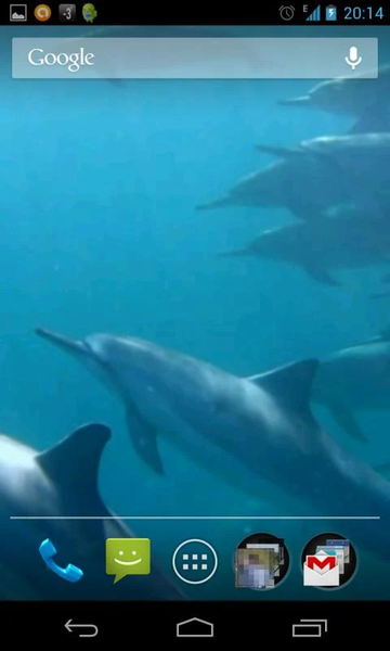 Dolphins 3D. Live Wallpaper. - عکس برنامه موبایلی اندروید