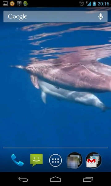 Dolphins 3D. Live Wallpaper. - Image screenshot of android app