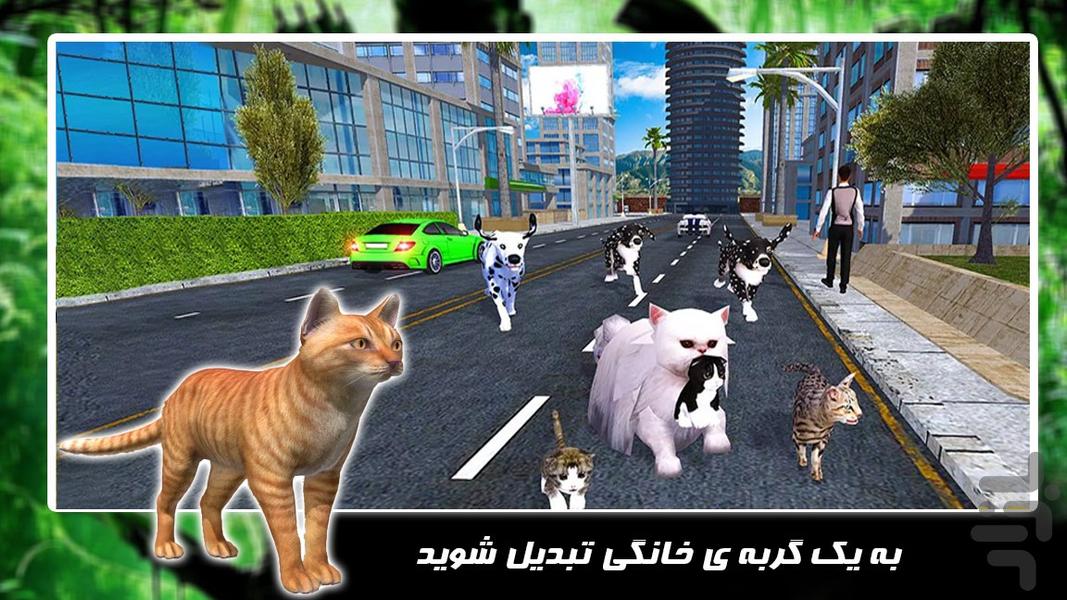 بازی حیات وحش | زندگی گربه - عکس بازی موبایلی اندروید