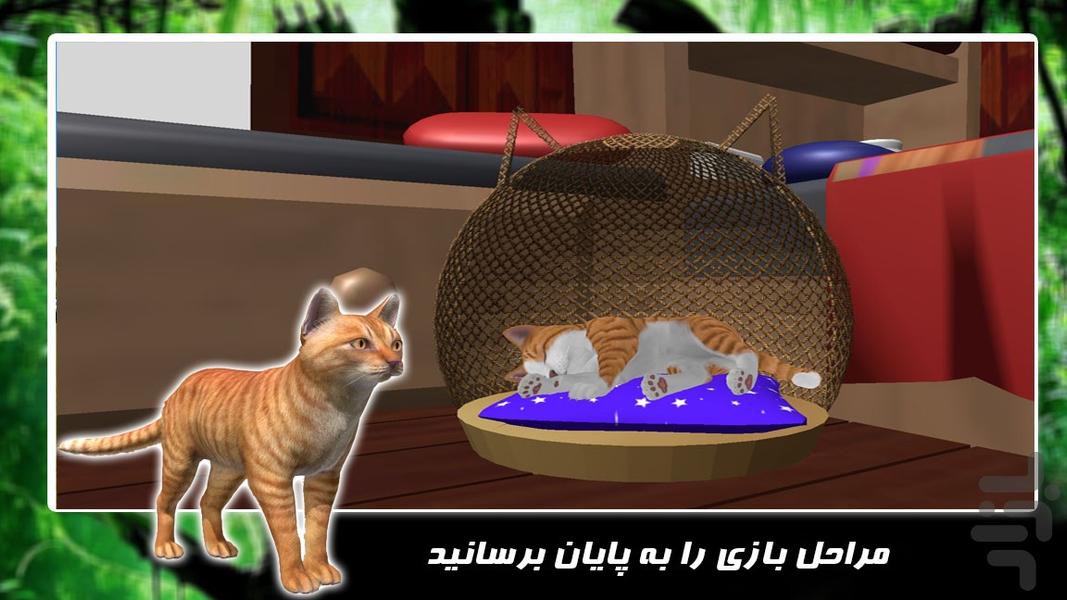 بازی حیات وحش | زندگی گربه - Gameplay image of android game