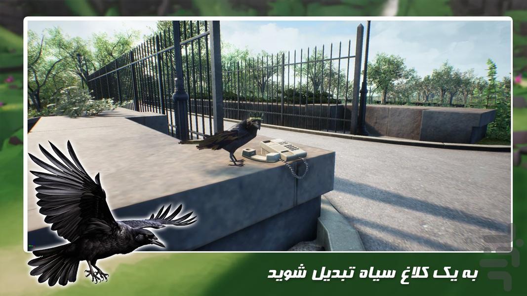 بازی زندگی حیوانات | کلاغ سیاه - عکس بازی موبایلی اندروید