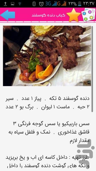 Iranian kebabs - Image screenshot of android app