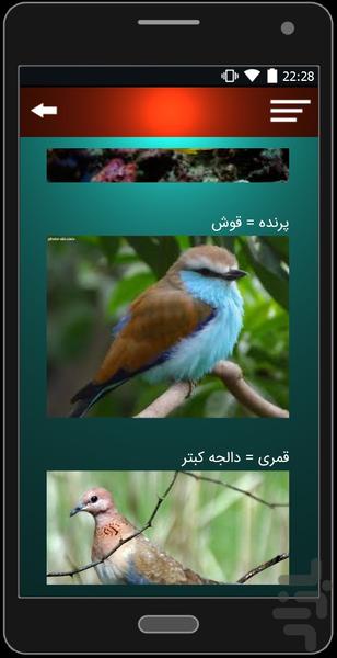 فارسی به ترکی - عکس برنامه موبایلی اندروید