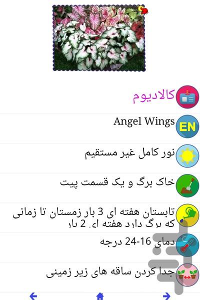 گلدون - Gameplay image of android game