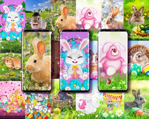 Cute bunny live wallpaper - عکس برنامه موبایلی اندروید