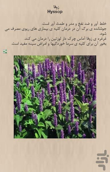 Ejaz - عکس برنامه موبایلی اندروید