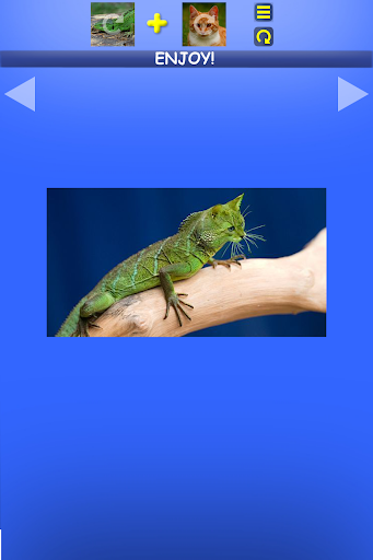 Mix Aminals. Animal morphing - عکس برنامه موبایلی اندروید