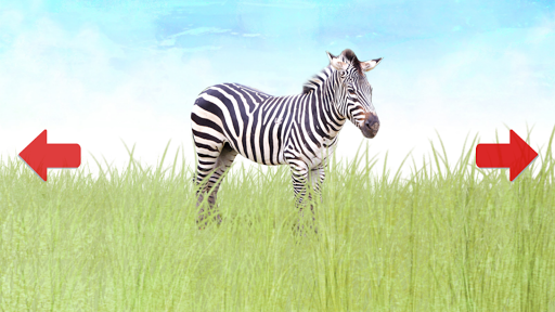 Animals for Kids - عکس برنامه موبایلی اندروید