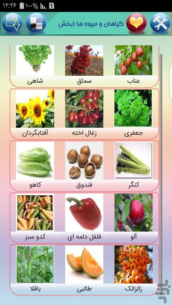 خواص درمانی گیاهان و میوه ها - Image screenshot of android app